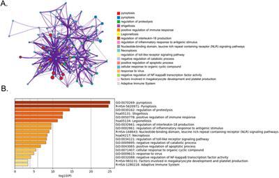 Genome-wide exploration of a pyroptosis-related gene module along with immune cell infiltration patterns in bronchopulmonary dysplasia